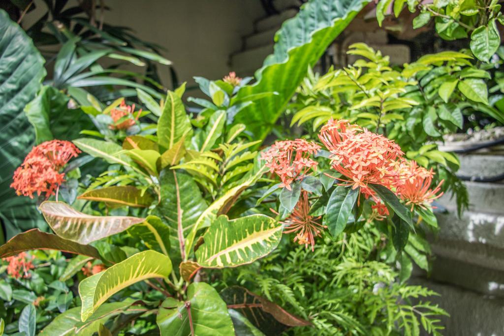 Villa Seriska Seminyak Экстерьер фото